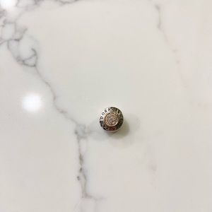 Pandora bracelet charm